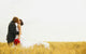 Bride And Groom Kiss Wall Mural