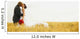 Bride And Groom Kiss Wall Mural
