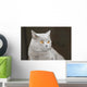 Hauskatze Wall Decal