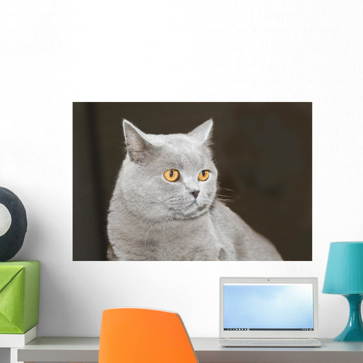 Hauskatze Wall Decal