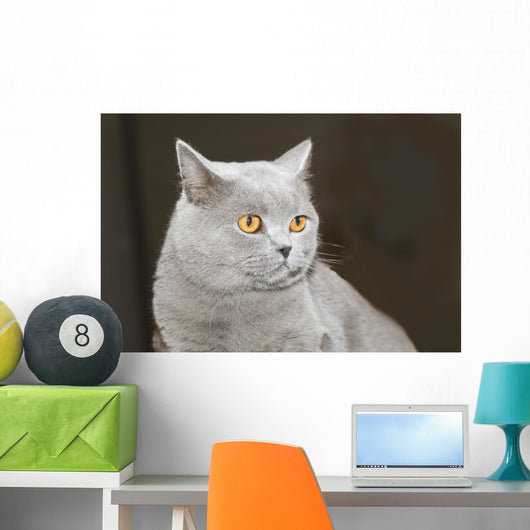 Hauskatze Wall Decal