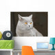 Hauskatze Wall Decal