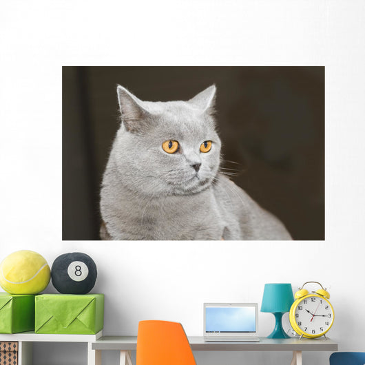 Hauskatze Wall Decal