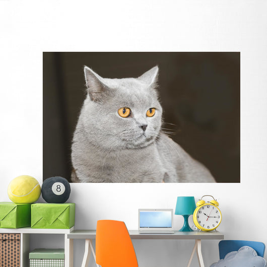 Hauskatze Wall Decal