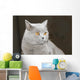 Hauskatze Wall Decal