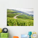 Grand Cru Vineyard Ca Wall Decal