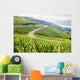 Grand Cru Vineyard Ca Wall Decal