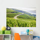 Grand Cru Vineyard Ca Wall Decal