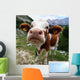 Almkuh S Dtirol Wall Decal