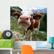 Almkuh S Dtirol Wall Decal