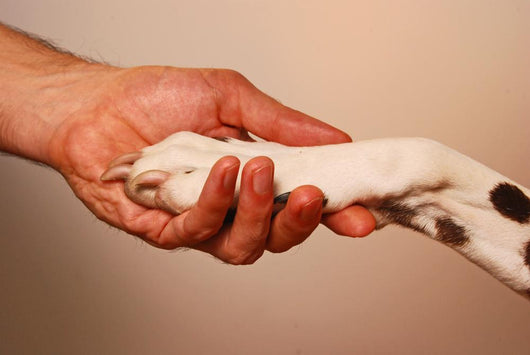 Paw Hand Wall Decal
