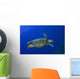 Hawksbill Sea Turtle St Wall Decal