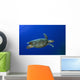 Hawksbill Sea Turtle St Wall Decal
