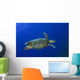 Hawksbill Sea Turtle St Wall Decal