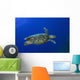 Hawksbill Sea Turtle St Wall Decal