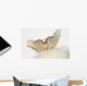 Silkworm Moth Wall Decal