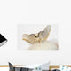 Silkworm Moth Wall Decal