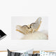 Silkworm Moth Wall Decal