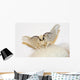 Silkworm Moth Wall Decal