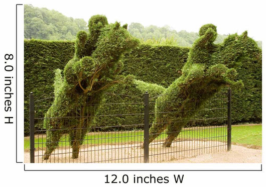 Two Horsemen Jumping Fence Wall Decal