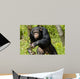 Chimpanzee Wall Decal