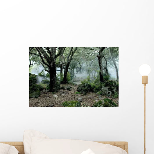 Forest Fog Wall Decal Design 3