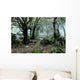 Forest Fog Wall Decal Design 3