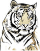 Tiger Wall Decal