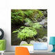 Stream with Ferns and Wall Decal