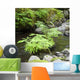 Stream with Ferns and Wall Decal