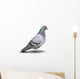 Pigeon Wall Decal