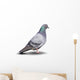 Pigeon Wall Decal