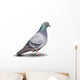 Pigeon Wall Decal
