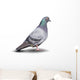 Pigeon Wall Decal