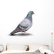 Pigeon Wall Decal