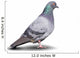 Pigeon Wall Decal
