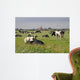 Cows Pasture Pilsum Wall Decal