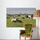 Cows Pasture Pilsum Wall Decal