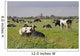 Cows Pasture Pilsum Wall Decal