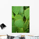 Cacti Wall Decal