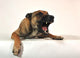 Aggressive Malinois Wall Decal