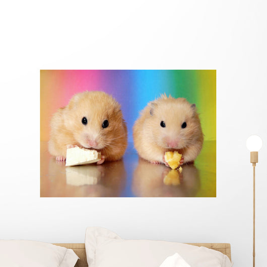 Two Syrian Hamsters Eating Wall Decal