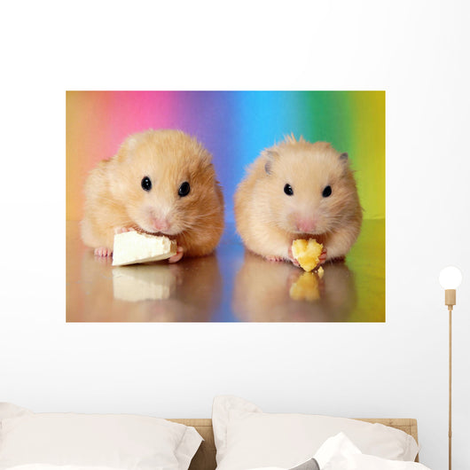 Two Syrian Hamsters Eating Wall Decal