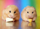 Two Syrian Hamsters Eating Wall Decal