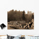 Cut Trees Wall Decal