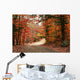 Autumn Landscape with Path Wall Decal