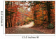 Autumn Landscape with Path Wall Decal