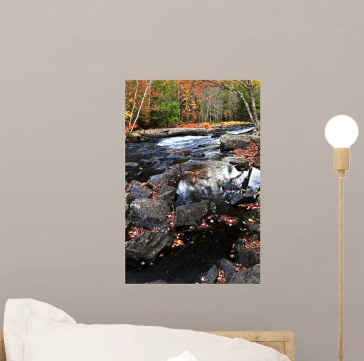 Fall Forest and River Wall Decal