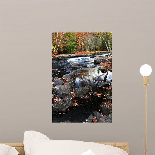 Fall Forest and River Wall Decal