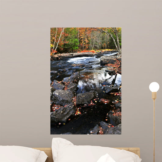 Fall Forest and River Wall Decal